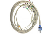 Welch allyn ecg patientenkabel met stekker aansluiting re-pc-iec-ban